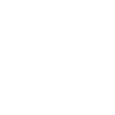 临时使用服务